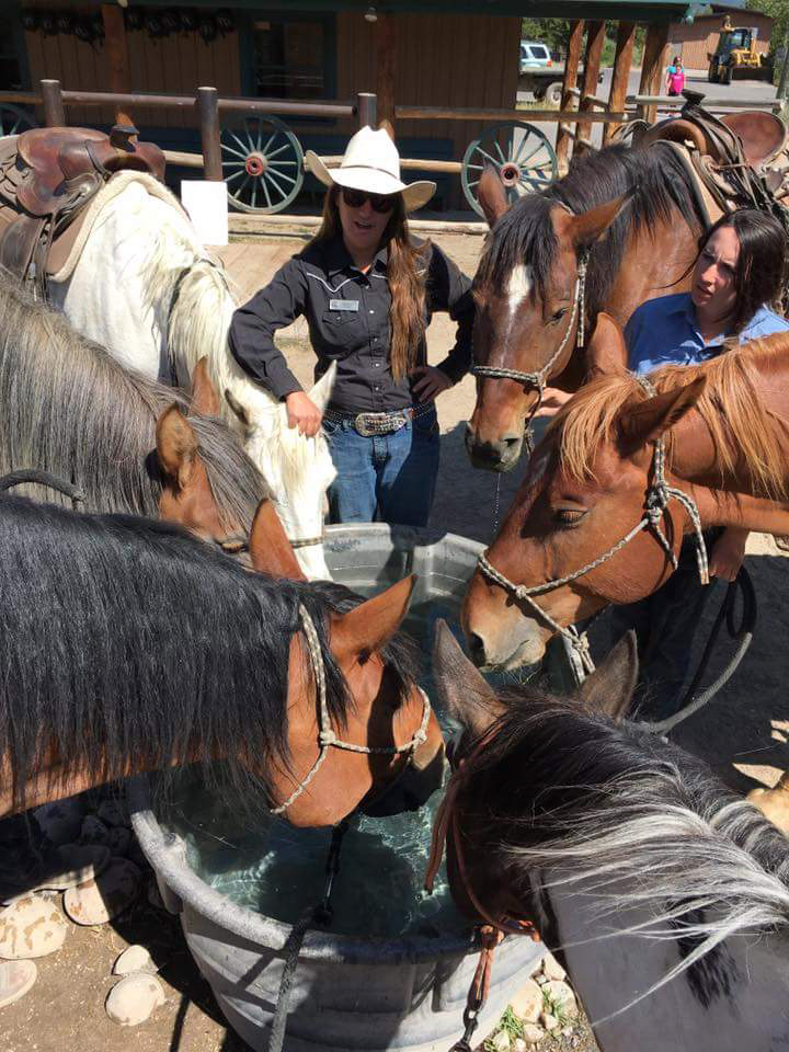 A Day in the Life of a Horse Ranch Wrangler