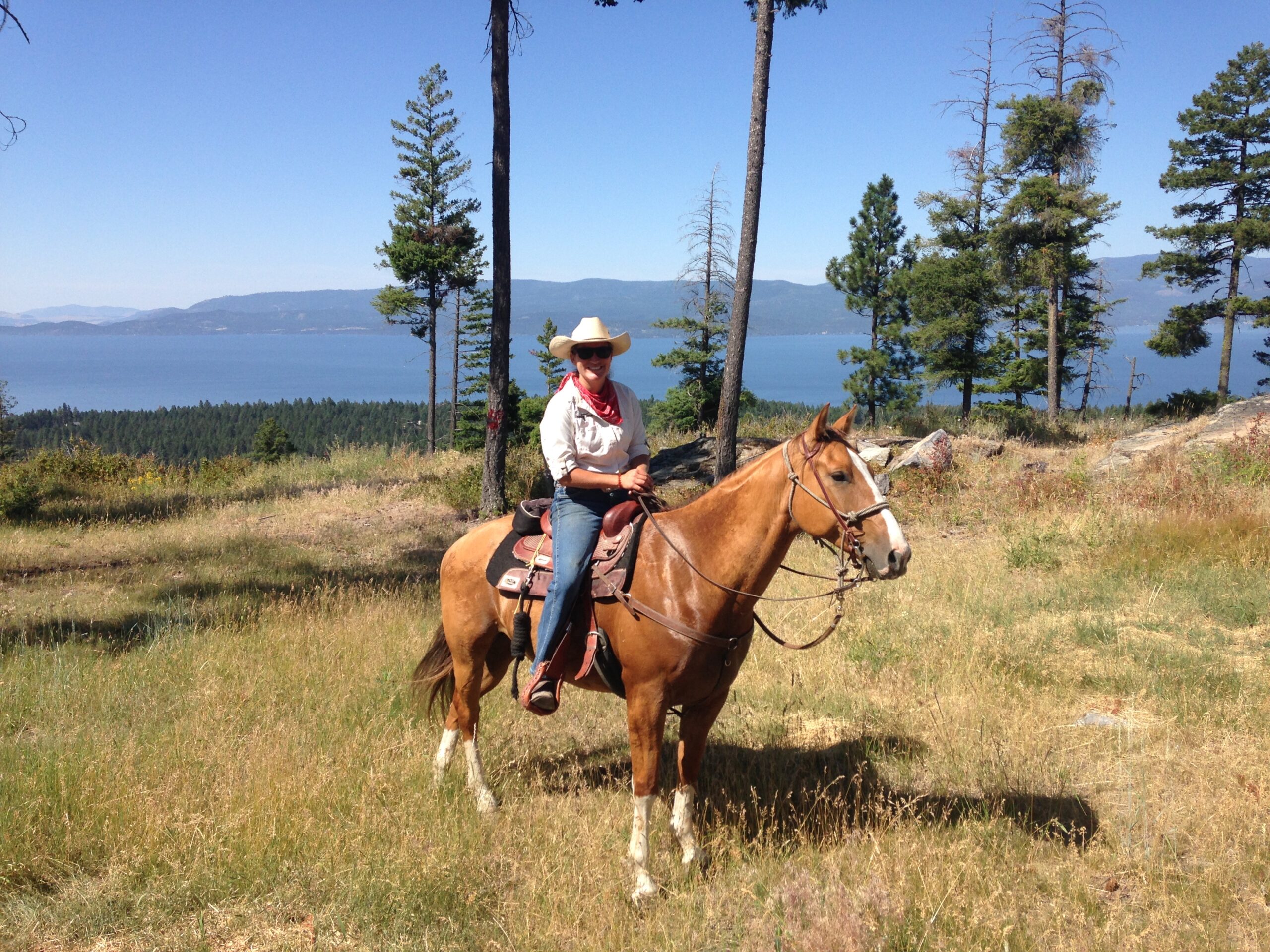 Working as a Horse Wrangler at a Montana Dude Ranch